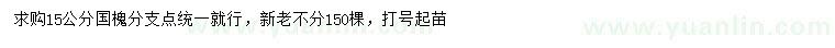 求購15公分國槐