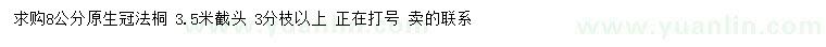 求購8公分法桐