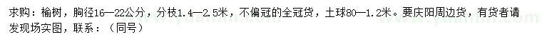 求購胸徑16-22公分榆樹