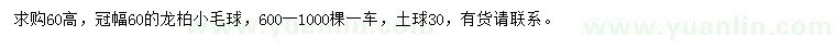 求購(gòu)冠幅60公分龍柏