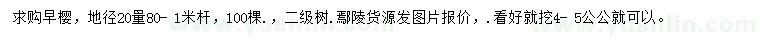 求購20公分量0.8-1米早櫻