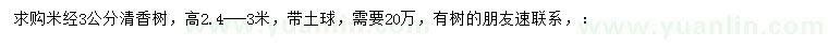 求購米徑3公分清香樹