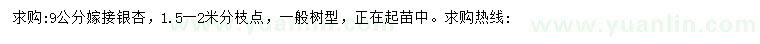 求購(gòu)9公分銀杏
