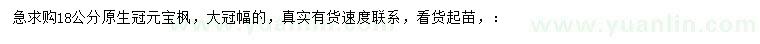 求購18公分元寶楓