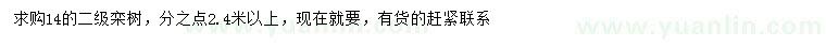 求購14公分欒樹