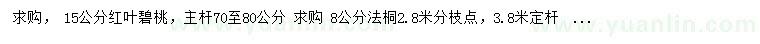 求購15公分紅葉碧桃、8公分法桐