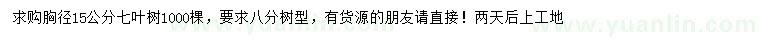 求購胸徑15公分七葉樹
