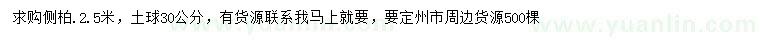 求購(gòu)2.5米側(cè)柏