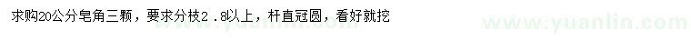 求購20公分皂角