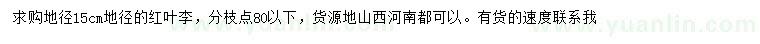 求購地徑15公分紅葉李