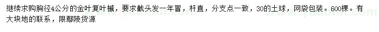 求購胸徑4公分金葉復(fù)葉槭