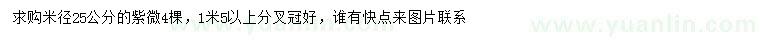 求購米徑25公分紫薇