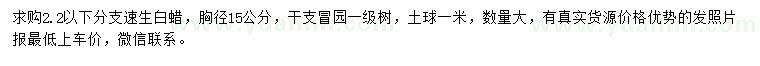 求購胸徑15公分速生白蠟
