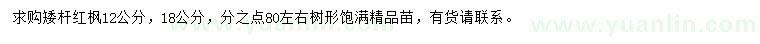 求購12、18公分紅楓