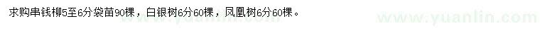 求購(gòu)串錢柳、白銀樹、鳳凰樹