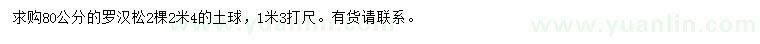 求購80公分羅漢松