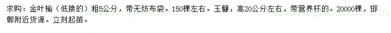 求購(gòu)5公分金葉榆、高20公分左右玉簪
