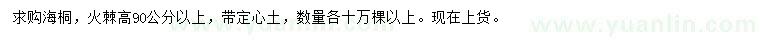 求購高90公分以上海桐、火棘