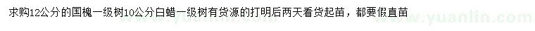 求購12公分國槐、10公分白蠟