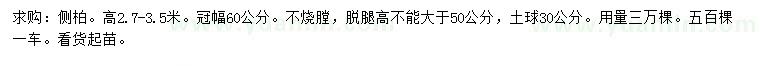 求購高2.7-3.5米側柏