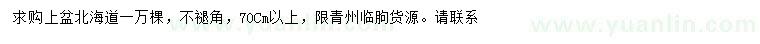 求購70公分以上北海道