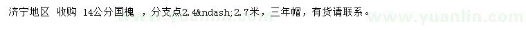 求購(gòu)14公分國(guó)槐