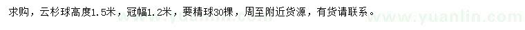 求購冠幅1.2米云杉球