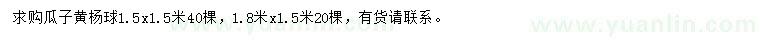 求購瓜子黃楊球