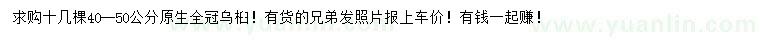 求購(gòu)40-50公分烏桕