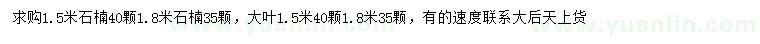 求購1.5、1.8米石楠、1.5米大葉