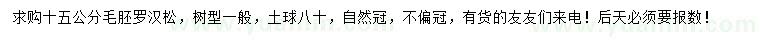 求購15公分羅漢松