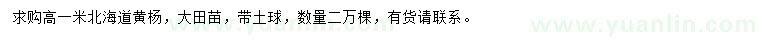 求購(gòu)高1米北海道黃楊