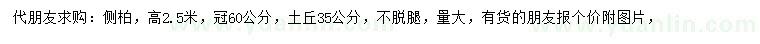 求購高2.5米側(cè)柏