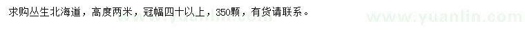求購公分40公分以上叢生北海道