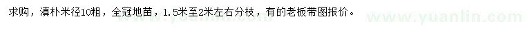 求購米徑10公分滇樸