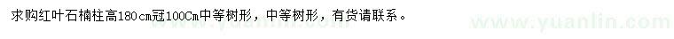 求購冠幅100公分紅葉石楠柱