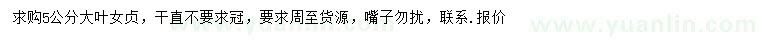 求購5公分大葉女貞