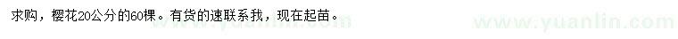 求購20公分櫻花
