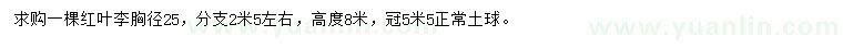 求購胸徑25公分紅葉李