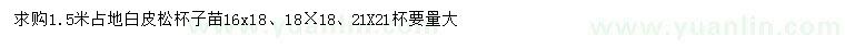 求購1.5米白皮松