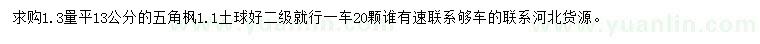 求購1.3米量13公分五角楓