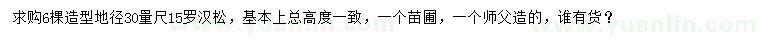求購30公分量15公分羅漢松