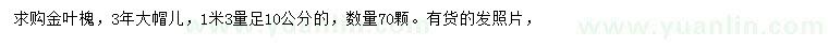 求購1.3米量10公分金葉槐