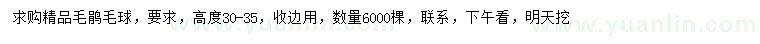 求購高30-35公分毛鵑毛球
