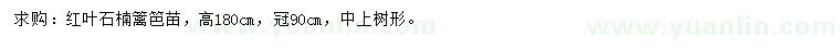 求購高180公分紅葉石楠