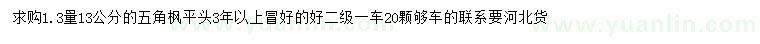 求購1.3量13公分五角楓