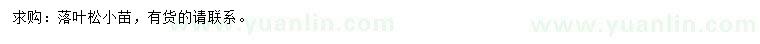 求購落葉松小苗
