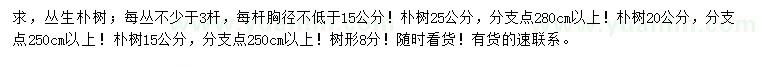 求購叢生樸樹、15、20、25公分樸樹
