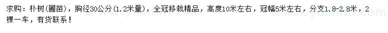 求購1.2米量30公分樸樹