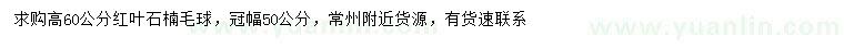 求購冠幅50公分紅葉石楠球